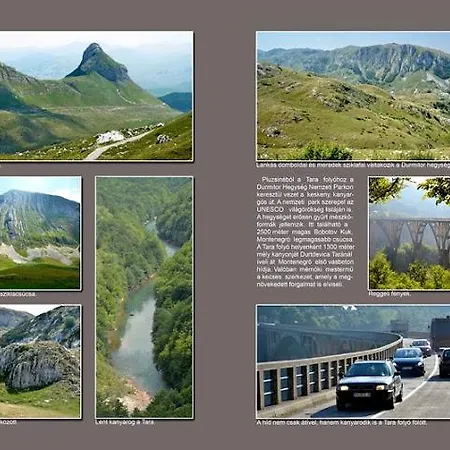 Bosnjak * Podgorica