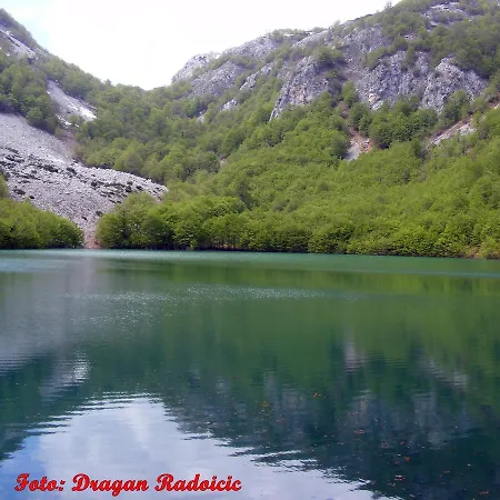 Bosnjak * Podgorica